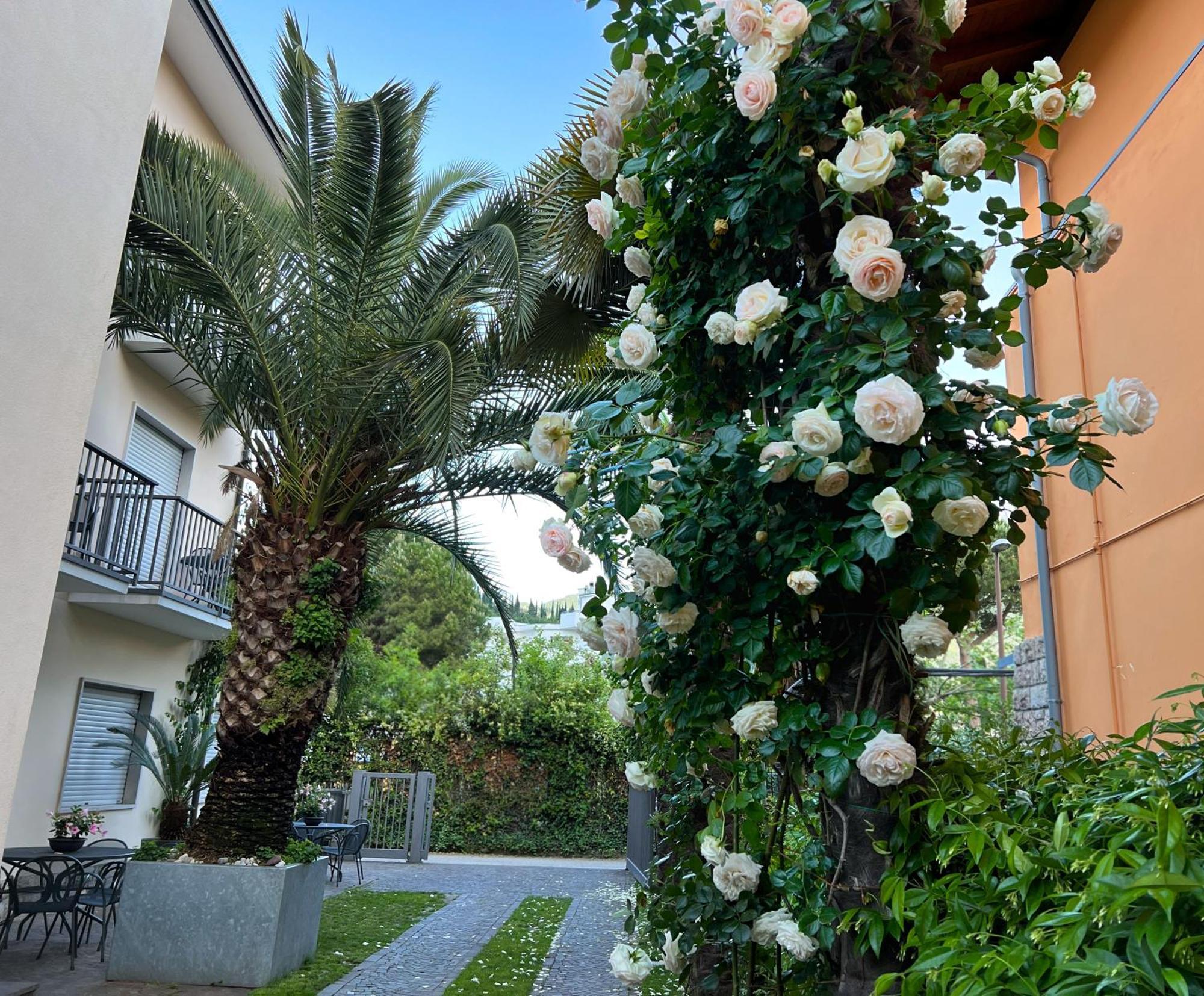 Villa Phoenix - Lake Apartments Riva del Garda Bagian luar foto
